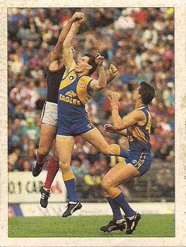 1992 Select AFL Stickers #254 Andrew Lockyer / Darren Bennett Front